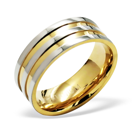 Titanium and Gold Ring