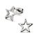 Surgical Steel Star Studs