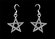 Star Earrings