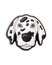 Dalmation