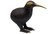 Bronze Kiwi 8cm