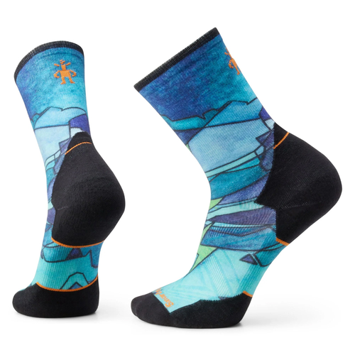Men's Athlete Edition Run Sock Smartwool (M)