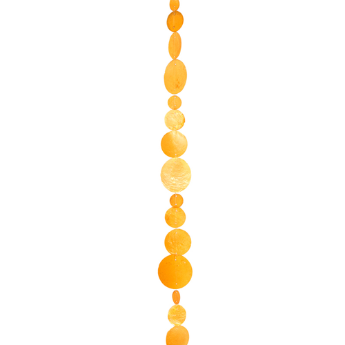 Shell Wind Chimes