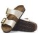Sydney (Reg) B/F Cushion Buckle - Birkenstock 