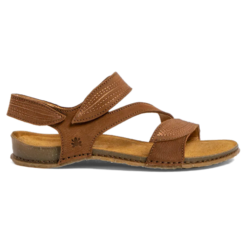 5810 Panglao - El Naturalista