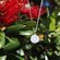 Round Fantail Necklace - Little Taonga