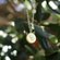 Round Fern Necklace - Little Taonga