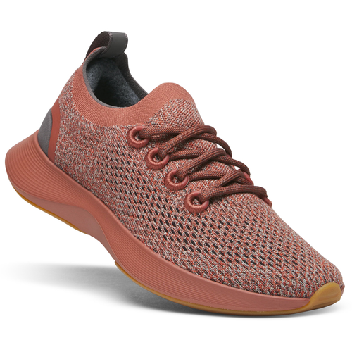 Dasher NZ - Allbirds