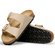 Arizona (Reg) B/F Big Buckle - Birkenstock
